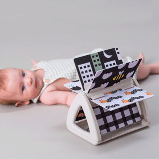 Taf Toys edukativna knjiga