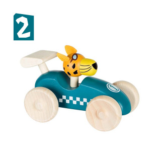 Lule trkački auto tigar