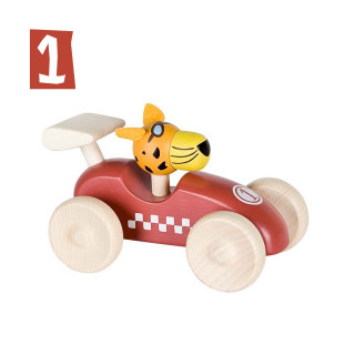 Lule trkački auto tigar