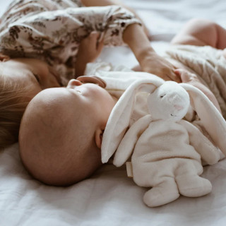 Moonie sensory zeka, Cream