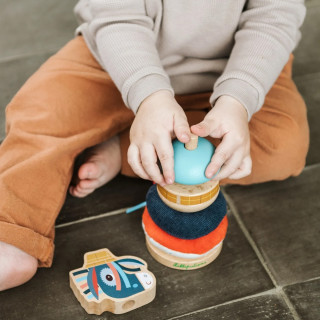 Lilliputiens dindolino