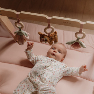 Little Dutch gimnastika Forest Garden