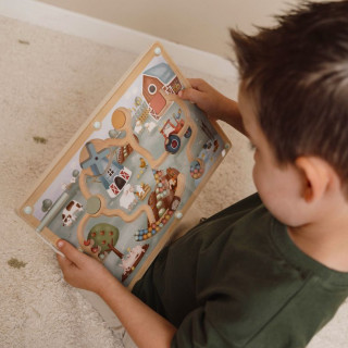 Little Dutch magnetni lavirint