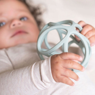 Little Dutch glodalica