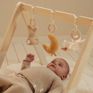 Little Dutch gimnastika