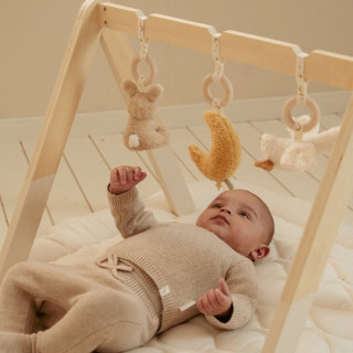 Little Dutch gimnastika