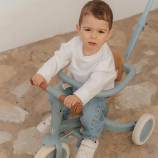 Little Dutch tricikl