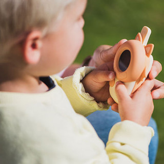 The Zoofamily voki toki Zoo Fox