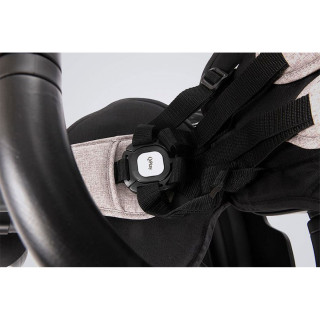 Qplay tricikl Rito Plus