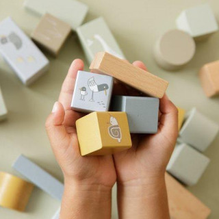 Little Dutch kocke plave