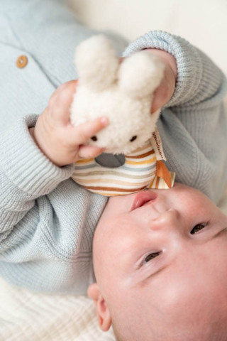 Little Dutch zvečka