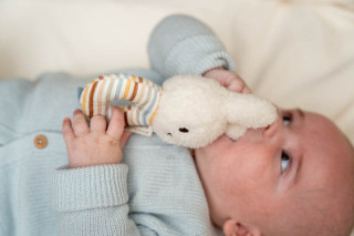 Little Dutch zvečka