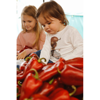 Just kiddin baby majica  