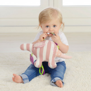 Dolce edukativna igračka - Mravojed Primo