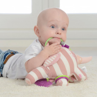 Dolce edukativna igračka - Mravojed Primo