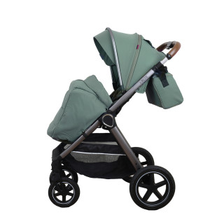 Jungle kolica Cruze 2u1