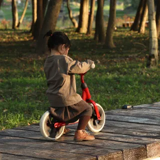 Qplay balanser Trainer