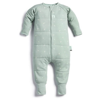 ErgoPouch kombinezon za spavanje 2.5TOG, 12-24m