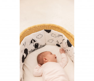 MarMar Copenhagen zeka, 56-74