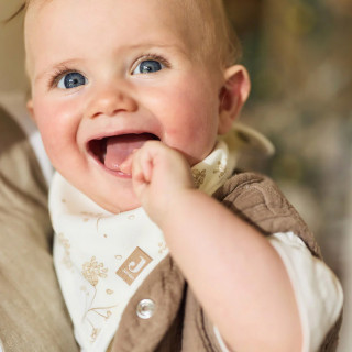 Jollein portikla, 2/1