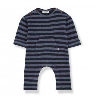 One more in the family zeka, 62-68