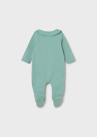 Mayoral zeka sa portiklom