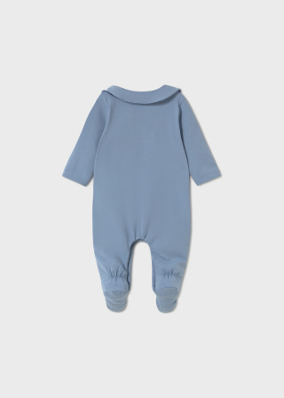 Mayoral zeka sa portiklom