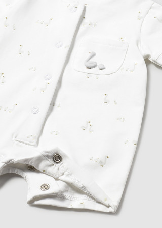 Mayoral zeka sa čarapicama