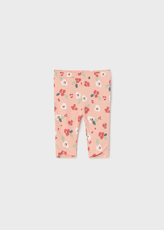 Mayoral helanke, 2/1