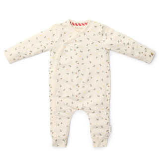 Little Dutch zeka, 62-80