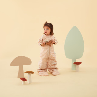 ErgoPouch vreća za spavanje 2.5TOG, 8-24m