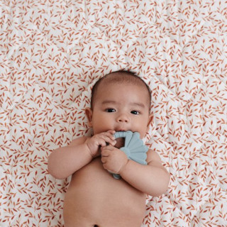 CamCam Copenhagen glodalica