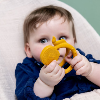 Trixie silikonska glodalica