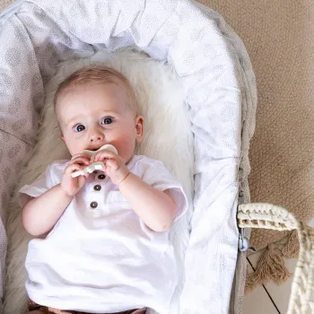 Sophie la girafe guma za zvakanje