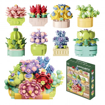 Jungle kocke sukulenti