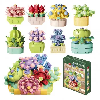 Jungle kocke sukulenti