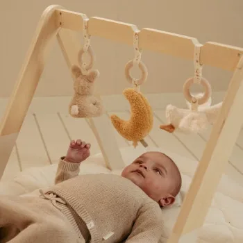 Little Dutch gimnastika