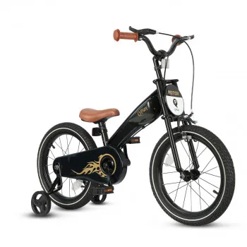Qplay bicikl Motor