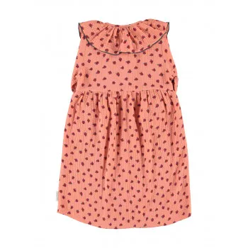 Piupiuchick haljina 3-10