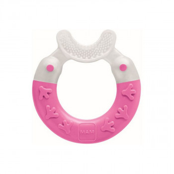 Mam glodalica sa  četkicom