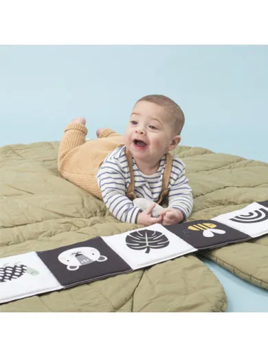 Taf Toys edukativna knjiga/ogradica