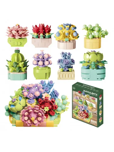 Jungle kocke sukulenti