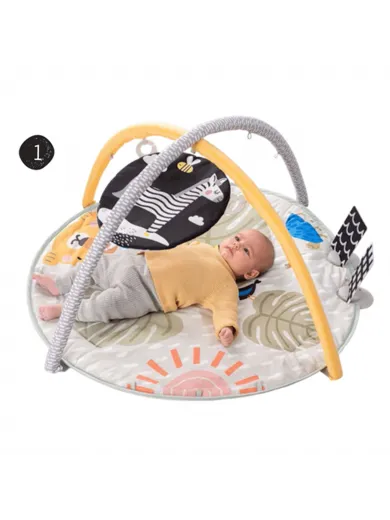 Taf Toys gimnastika
