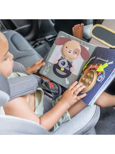 Taf Toys edukativna igračka za auto