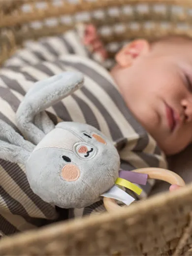 Taf Toys zvečka zeka Rylee