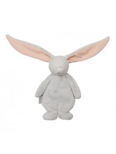 Moonie sensory zeka, Cloud