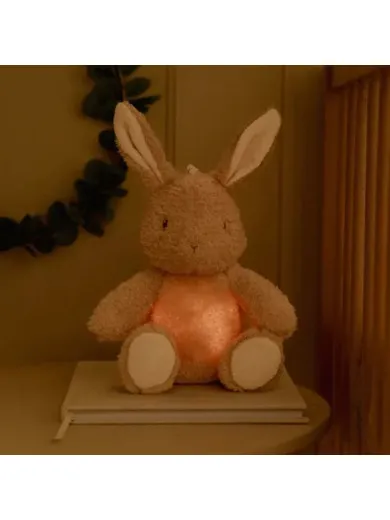 Little Dutch muzičja igračka
