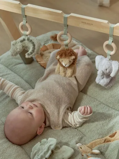 Little Dutch gimnastika Safari