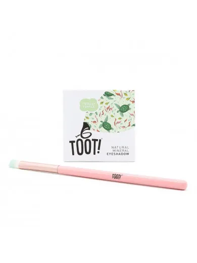 Toot! tottaly turtle set