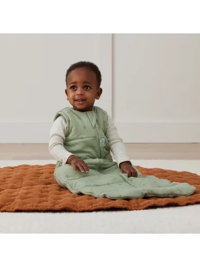 Ergopouch vreća za spavanje 2.5 TOG, 8-24m